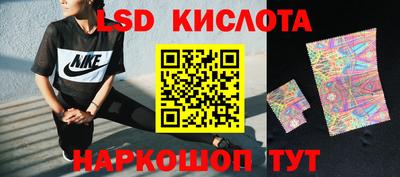 крисы Будённовск
