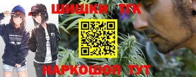 крисы Будённовск