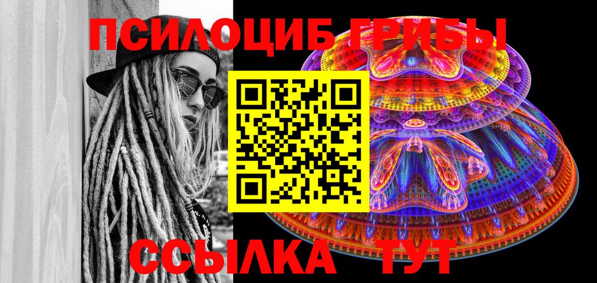 Псилоцибиновые грибы Psilocybine cubensis  Вход с VPN  Армавир 